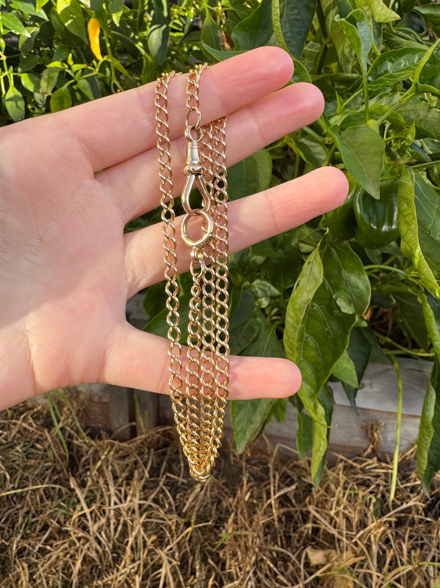 Antique 15ct yellow gold curb link watch chain with dog clip, 53.5cm / 21.06 inches long