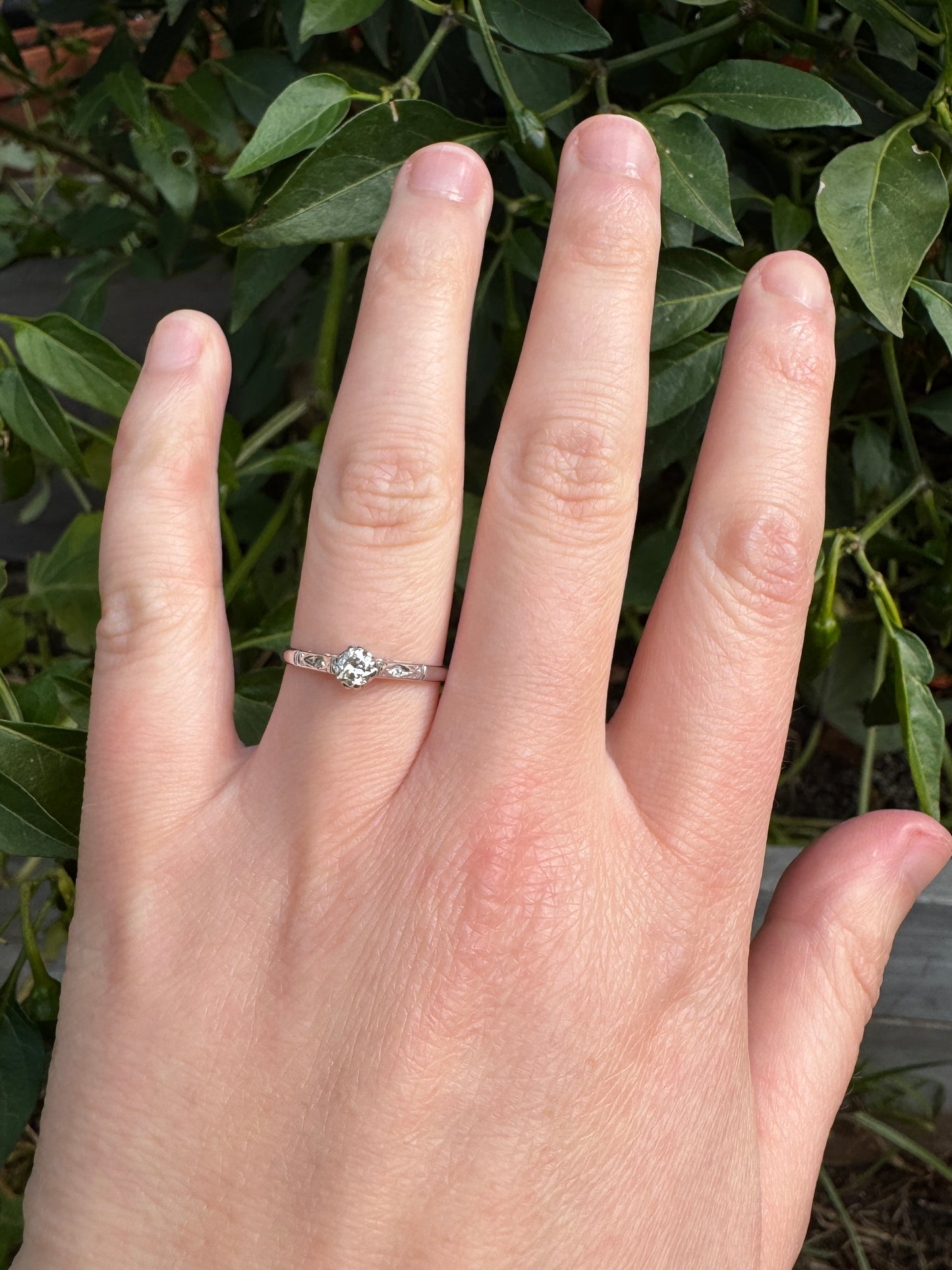 Vintage 18ct white gold 0.2ct old European cut diamond solitaire ring