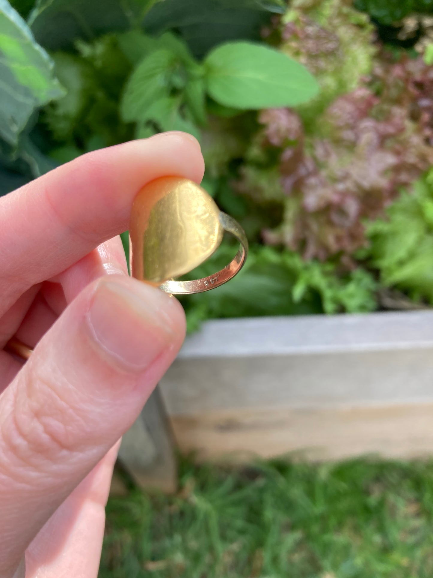 Vintage 22ct half sovereign on 9ct yellow gold band ring
