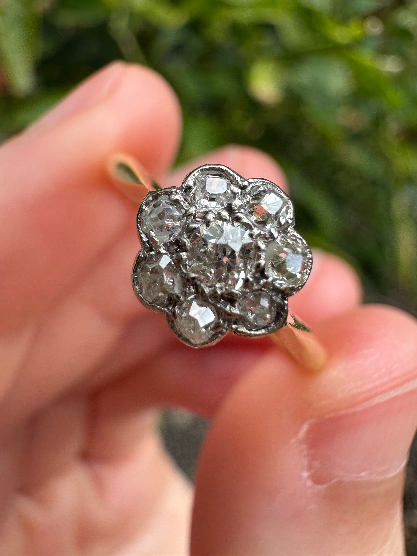 Antique 18ct yellow gold 0.4ct TCW old mine cut and single cut diamond daisy cluster ring