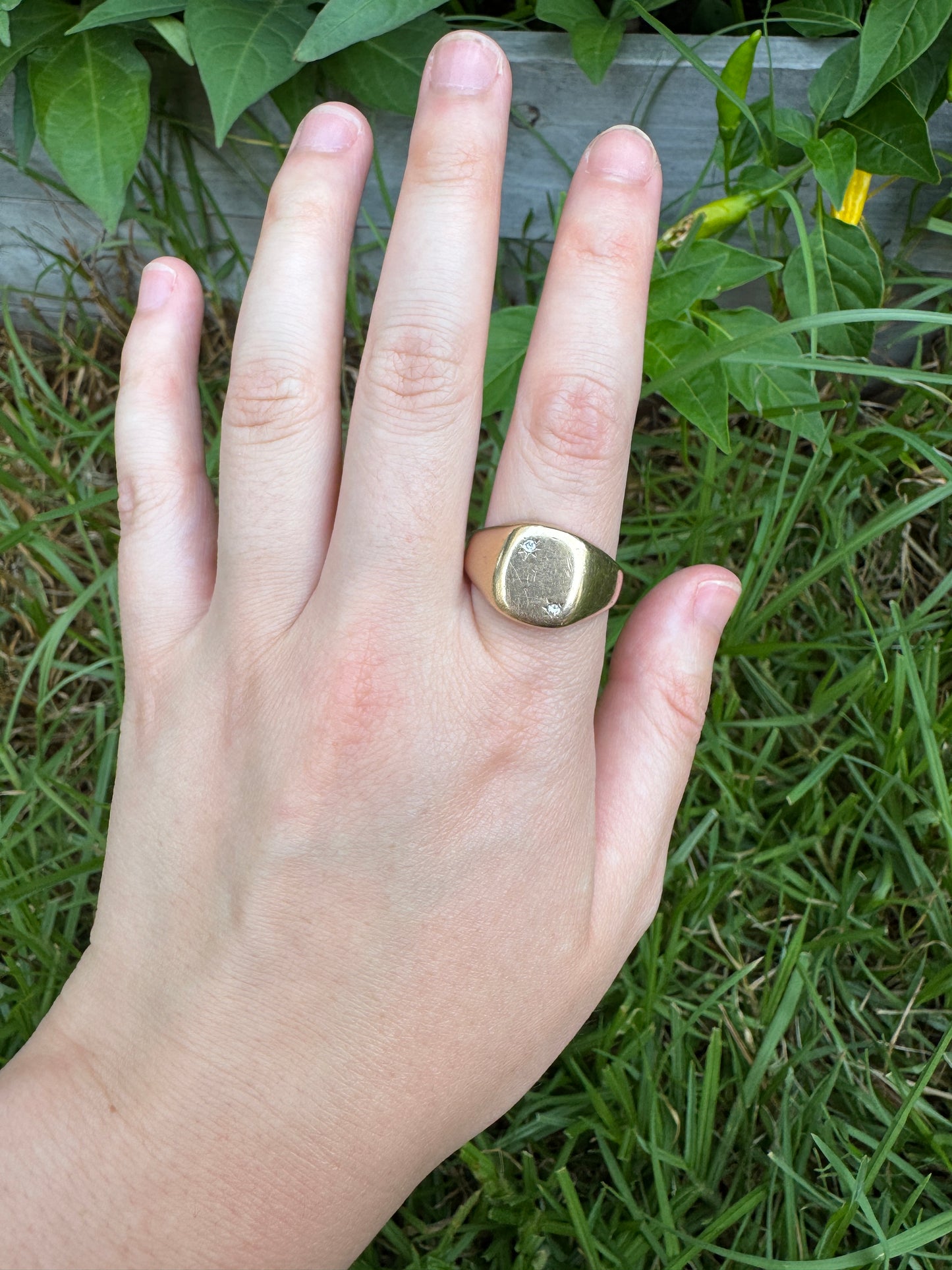 Vintage 9ct yellow gold single cut diamond starset signet ring