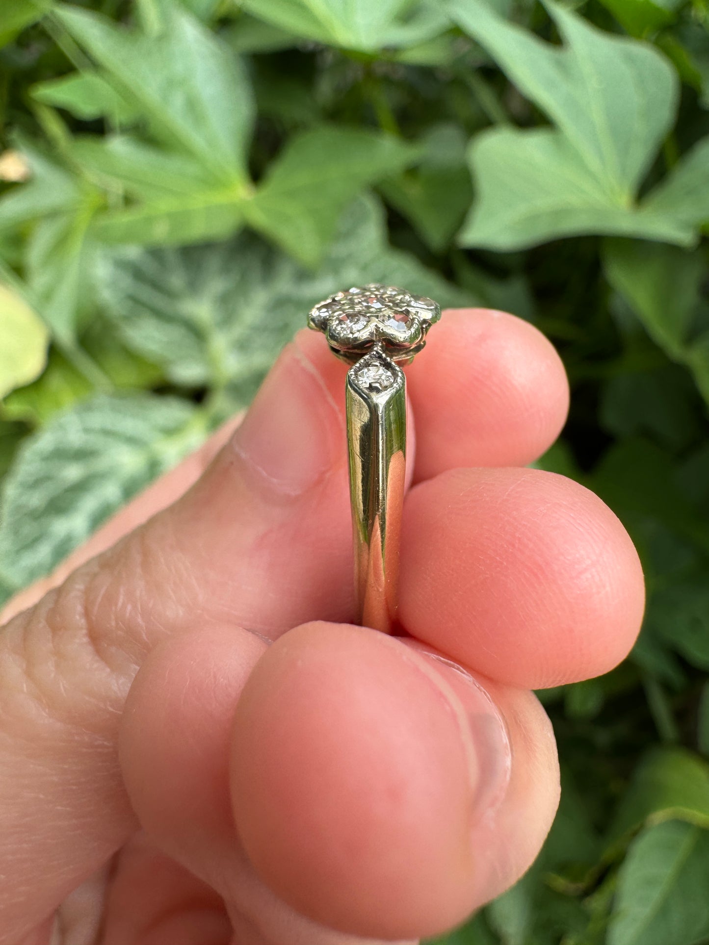 Vintage 18ct yellow gold single cut diamond daisy ring