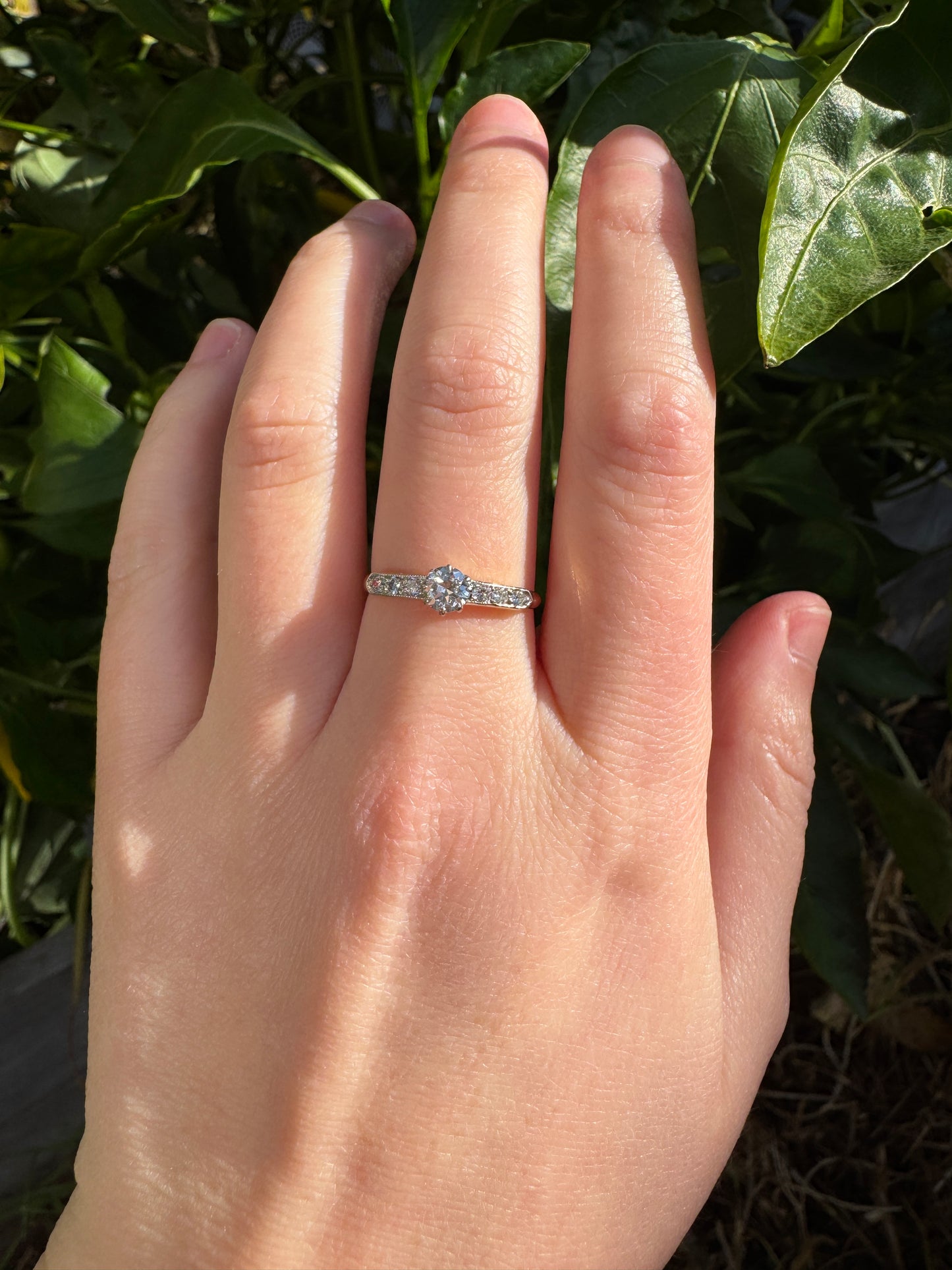 Antique Australian 18ct yellow gold 0.46ct TCW old European and old mine cut diamond ring