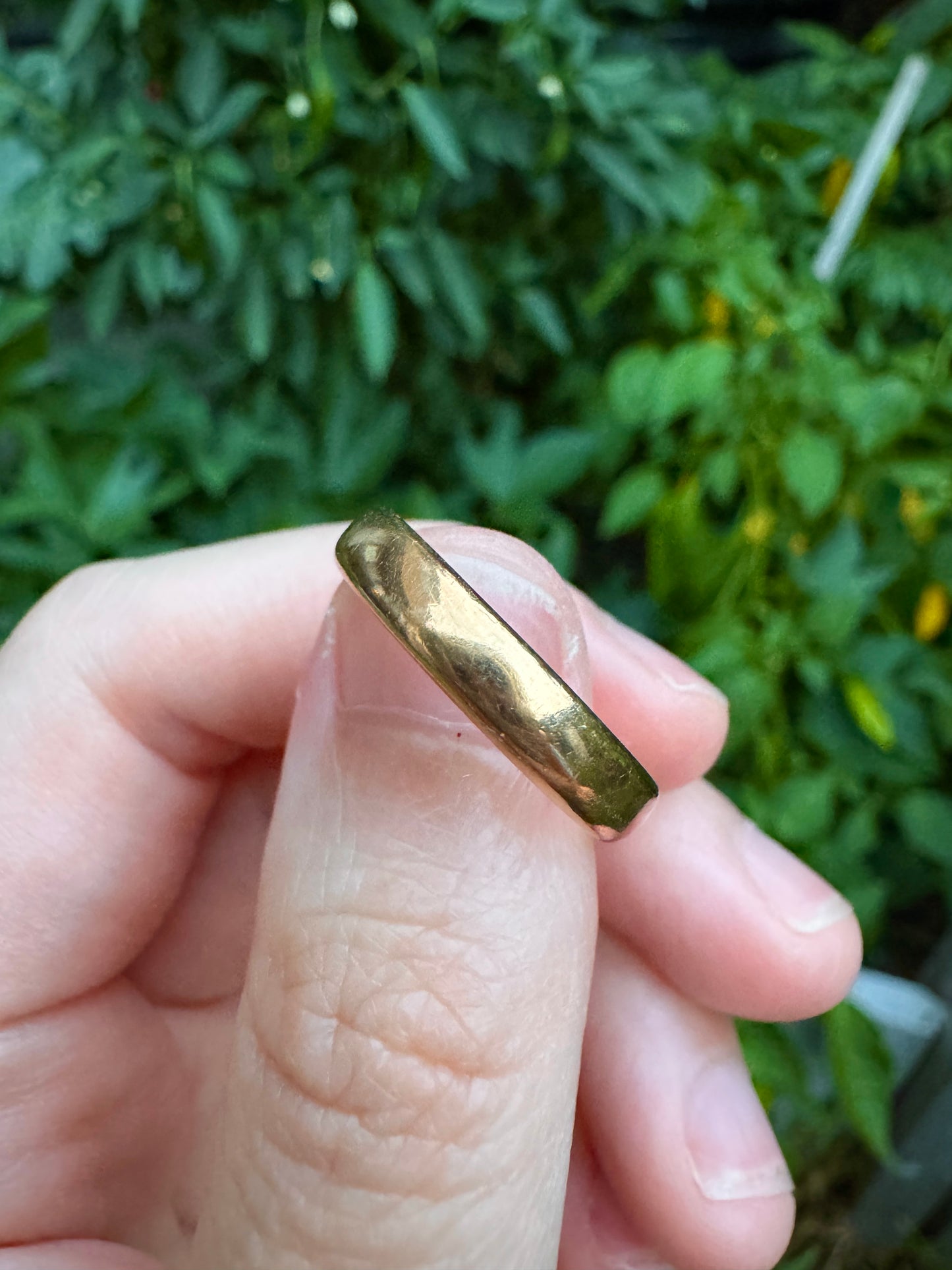 Antique 15ct rosy gold band, 3.5mm wide