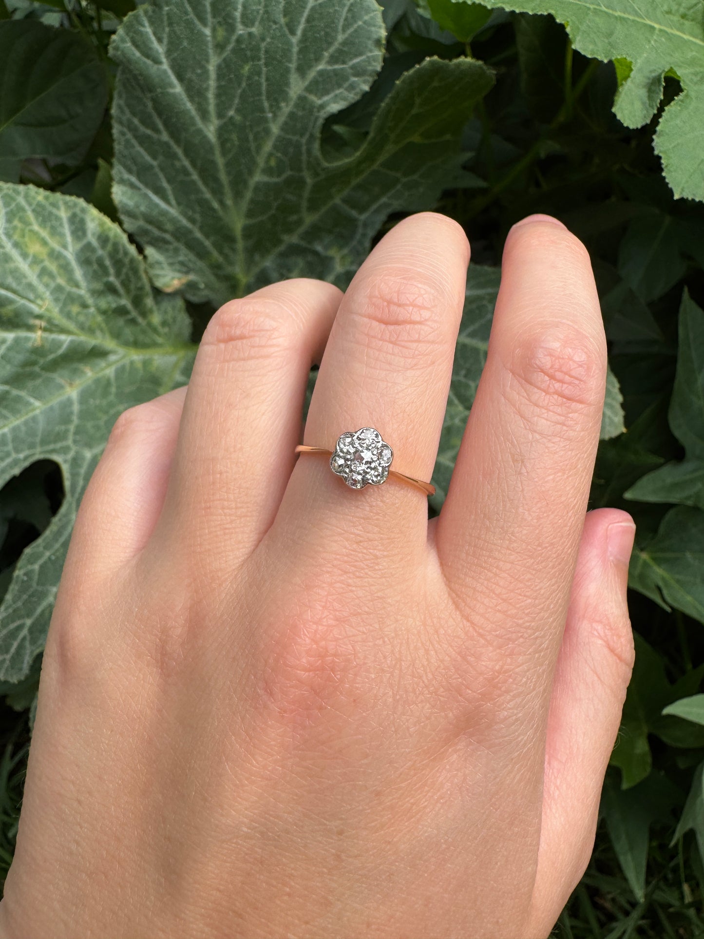 Vintage 18ct yellow gold 0.2ct TCW old mine cut diamond daisy cluster ring