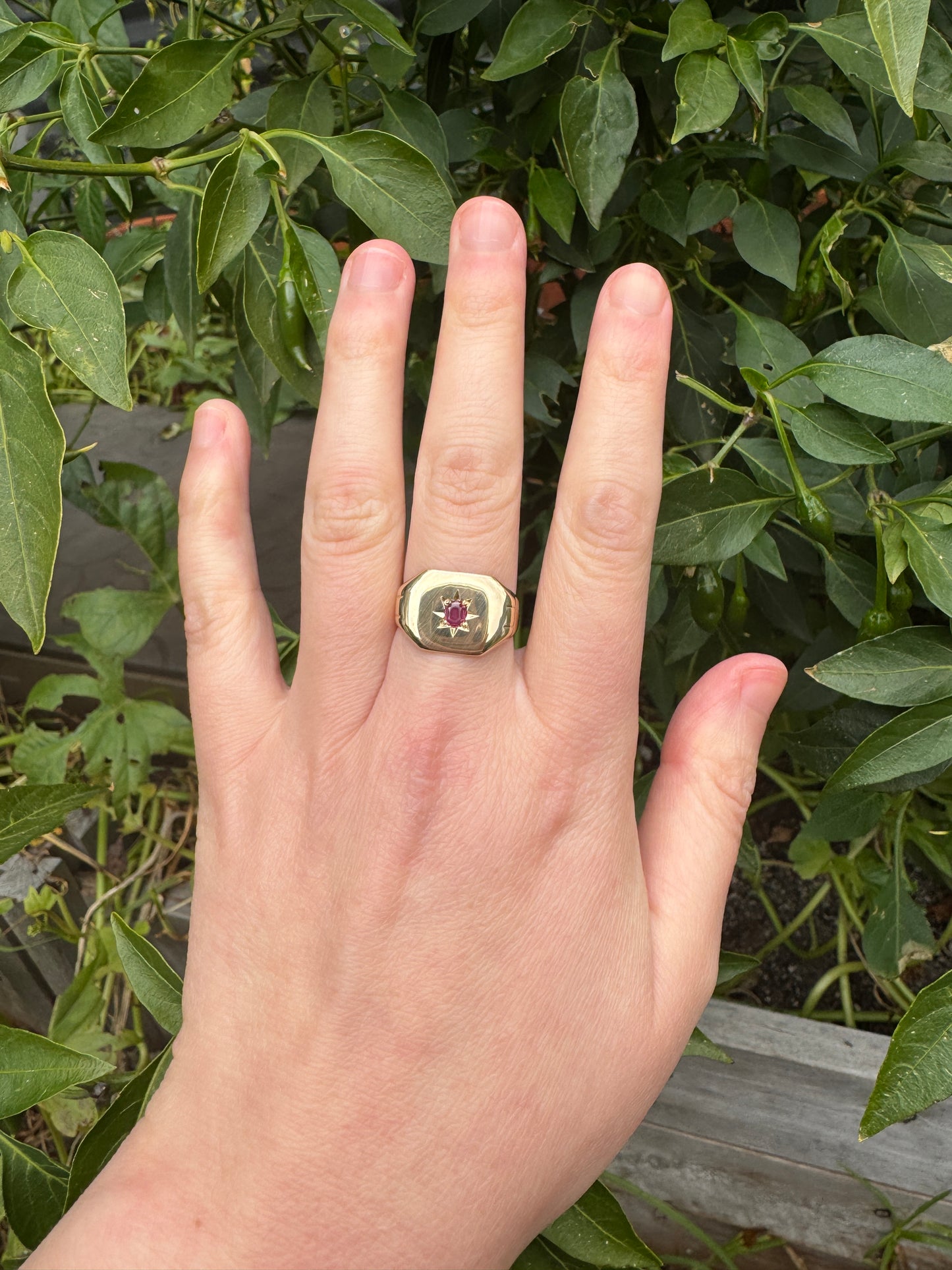 Vintage 9ct yellow gold 0.17ct natural ruby starset signet ring