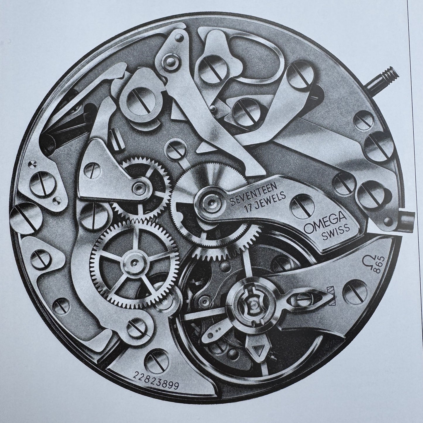 Omega Designs: Feast for the Eyes - Hardcover Book