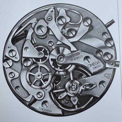 Omega Designs: Feast for the Eyes - Hardcover Book