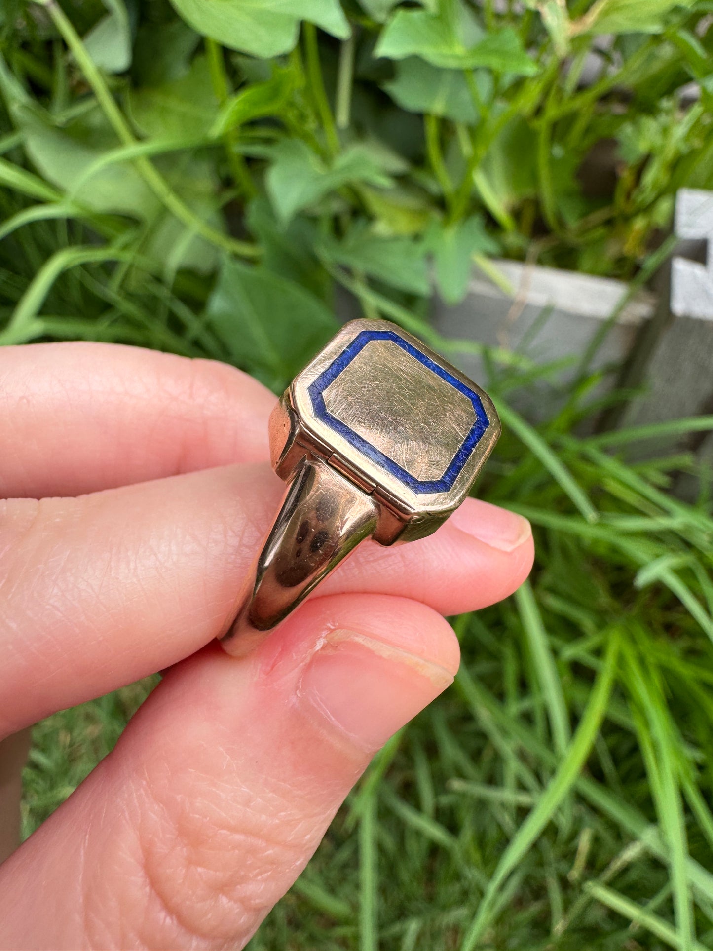 Antique Australian 9ct rosy yellow gold and enamel 'poison' signet ring