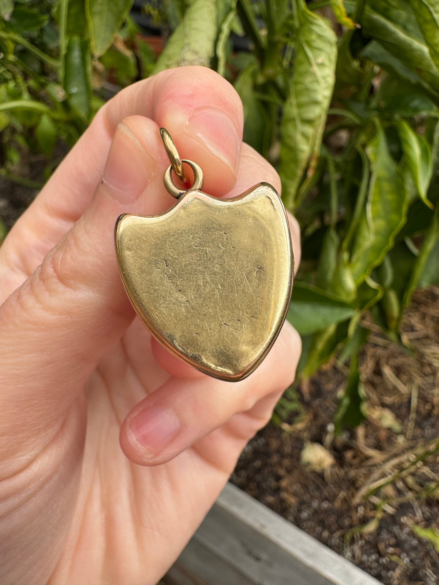 Antique 9ct yellow gold bloodstone shield locket pendant