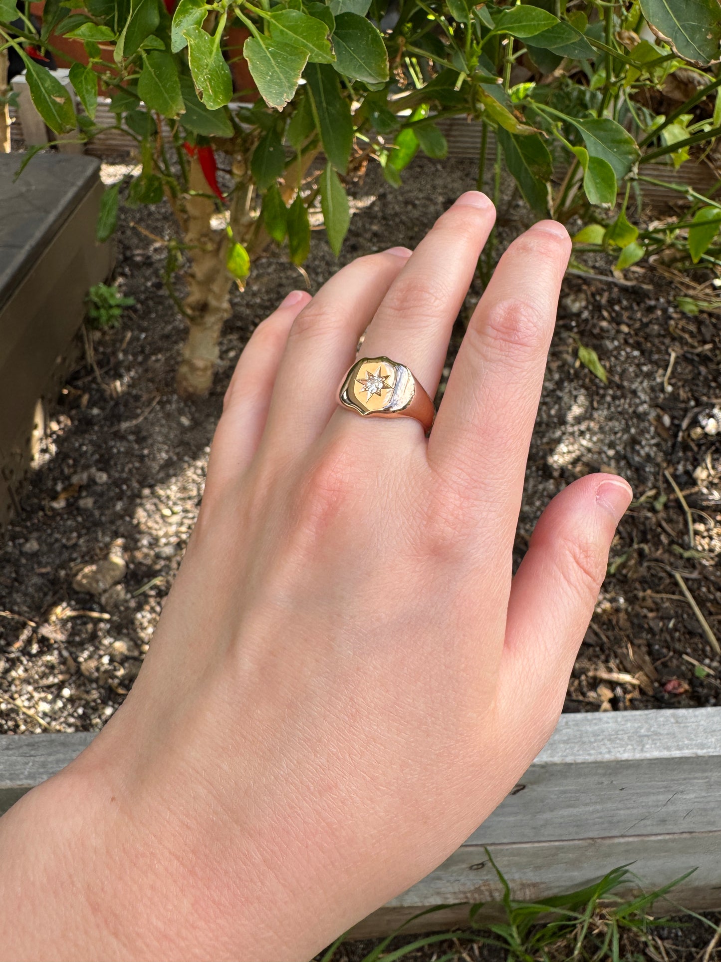 Antique English 9ct rosy yellow gold 0.15ct old European cut diamond starset shield signet ring