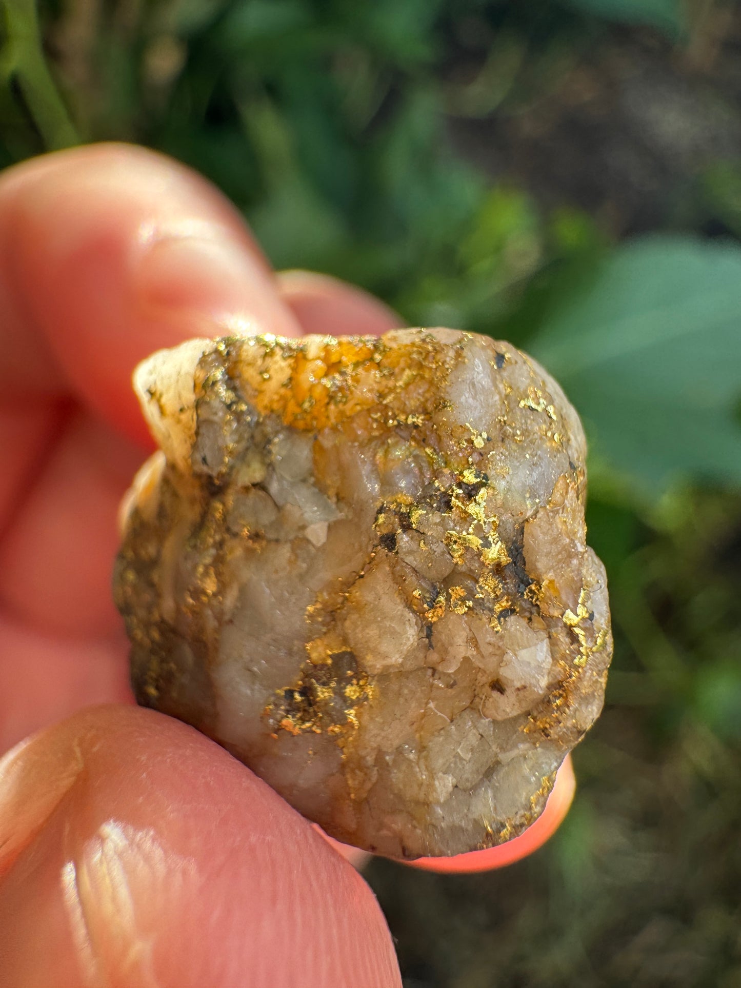 Antique Australian gold in quartz specimen pendant with 9ct gold fittings