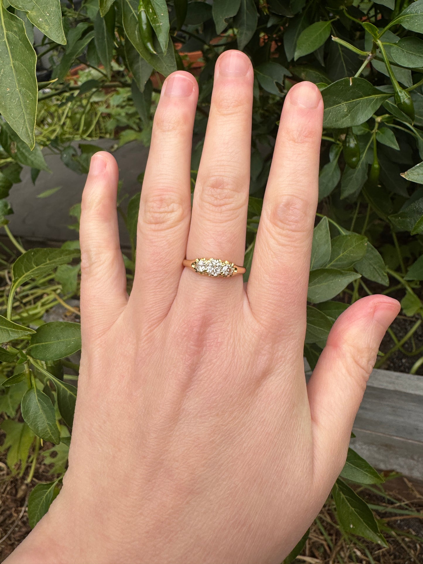Antique 18ct yellow gold three stone 0.7ct TCW old mine cut diamond ring
