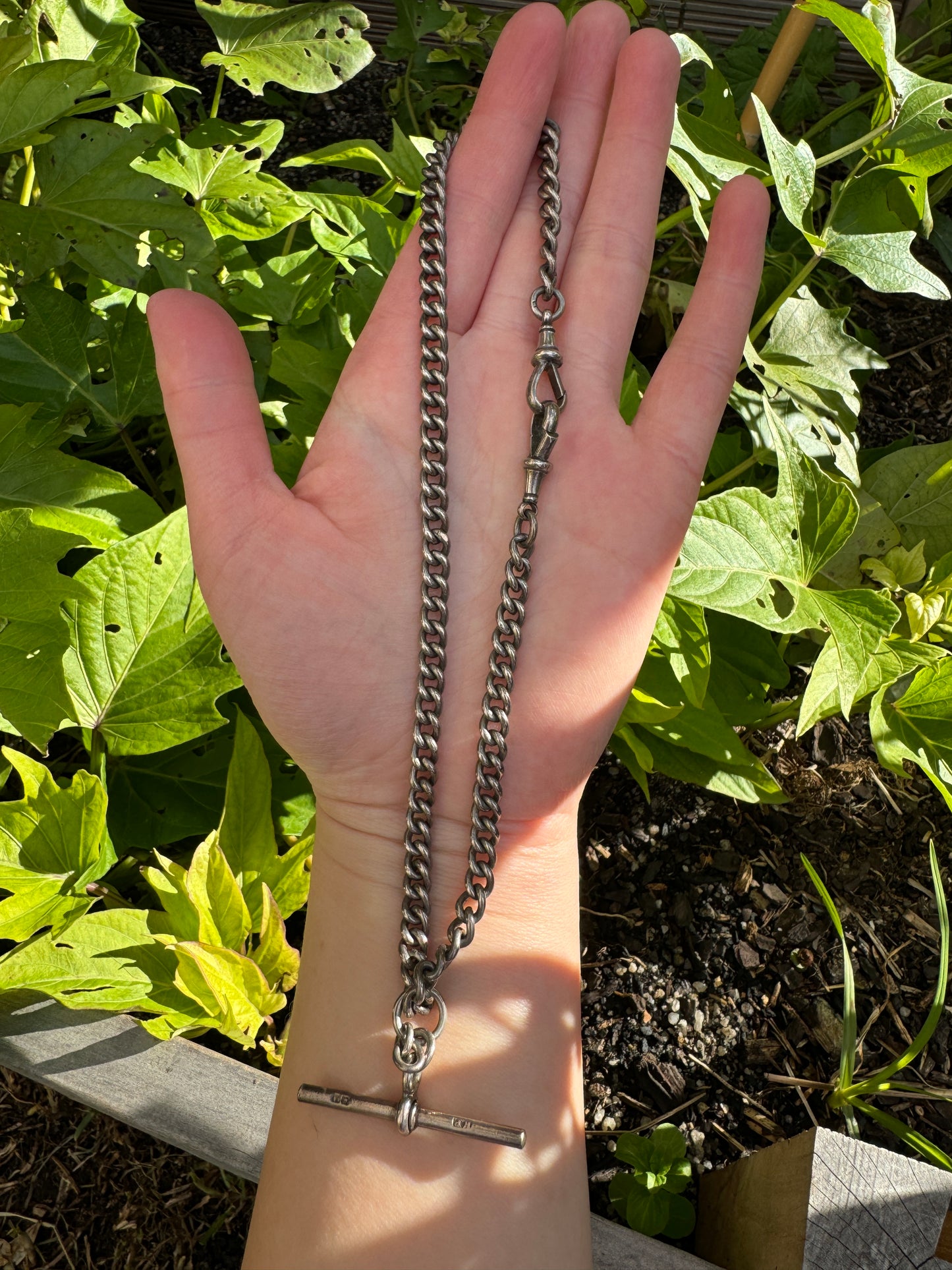 Antique sterling silver watch chain with two dog clips and t-bar, 35cm / 13.8 inches long