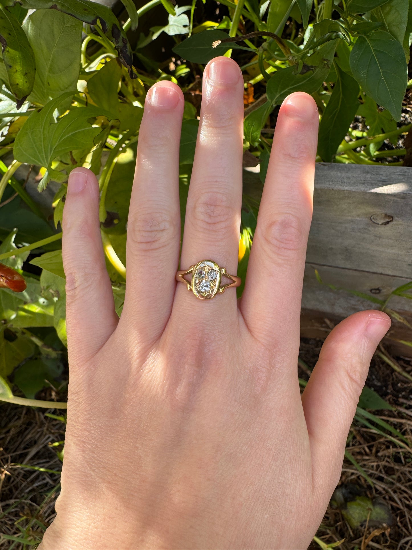 Antique Edwardian 18ct yellow gold three stone 0.3ct TCW old mine cut diamond split shank signet ring