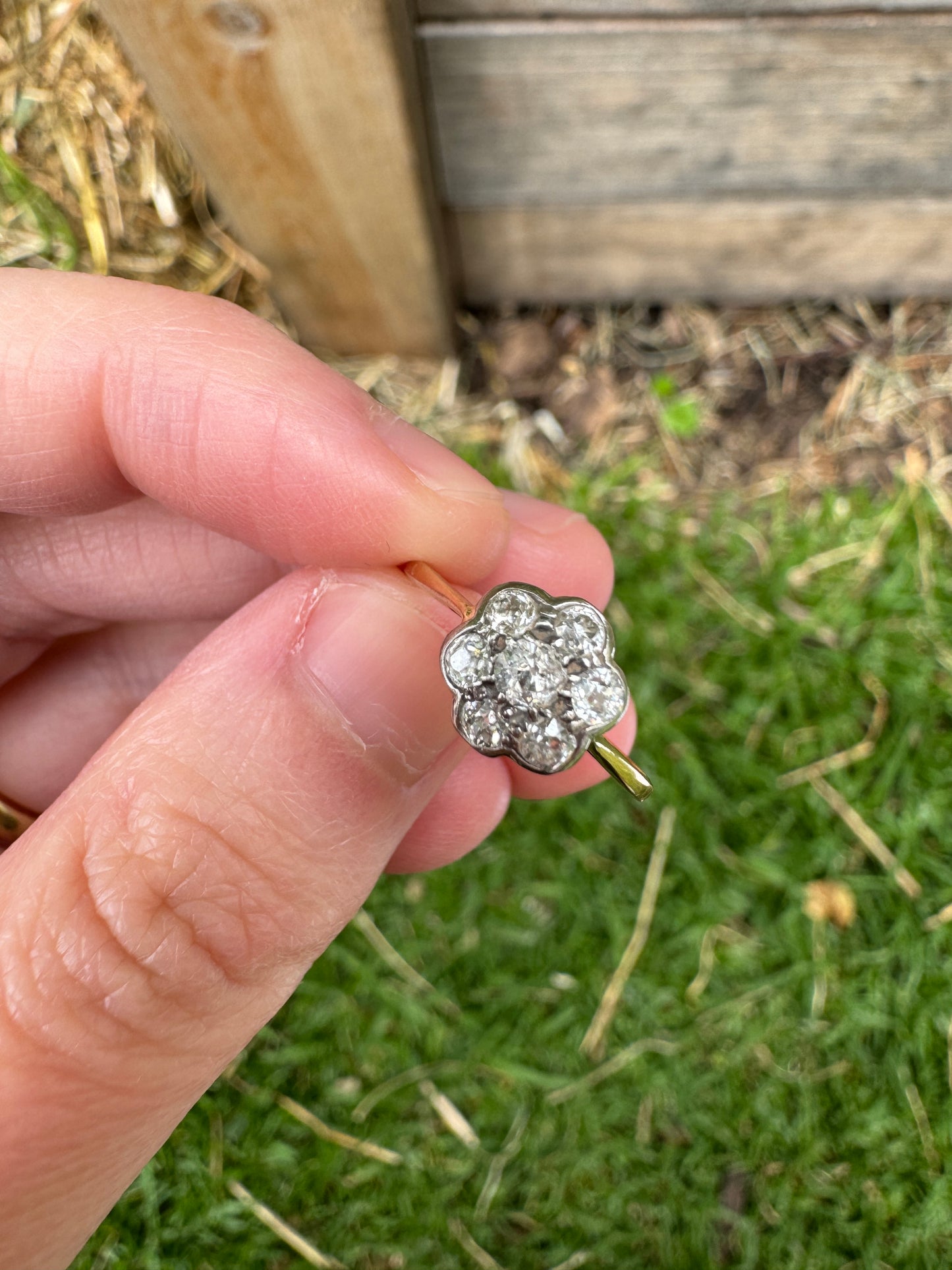 Vintage 18ct yellow gold and platinum 0.25ct TCW old mine cut diamond daisy ring
