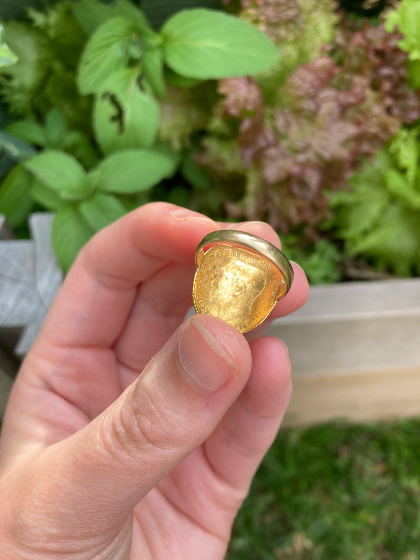 Vintage 22ct half sovereign on 9ct yellow gold band ring