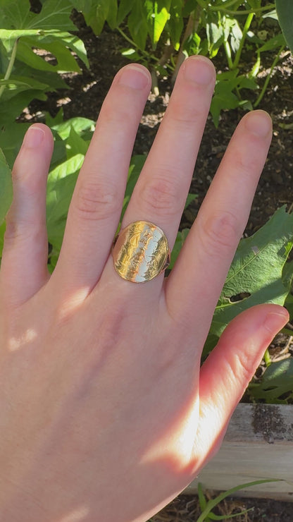 Antique 22ct yellow gold half sovereign ring on vintage 9ct yellow gold band